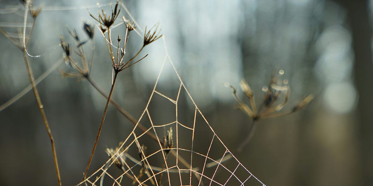A web big enough to hold the both/and
