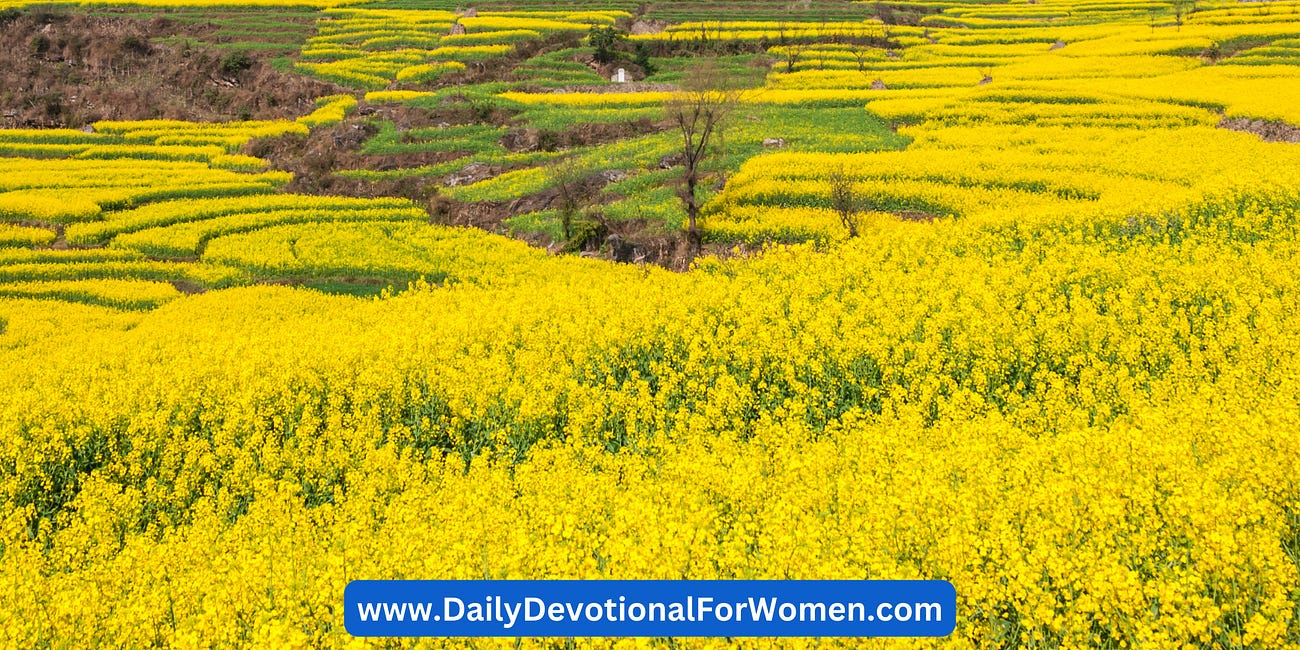 Increase Is Your Birthright • Daily Devo 41