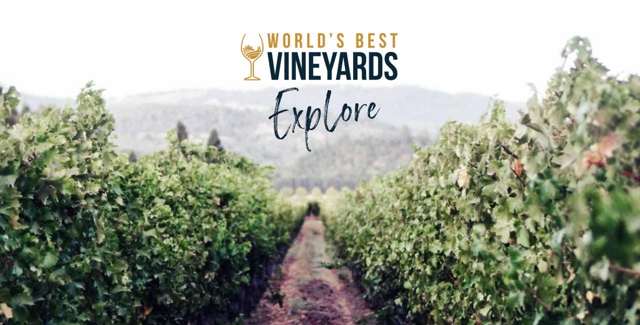 Discovering Excellence: The Best US Vineyards of 2023