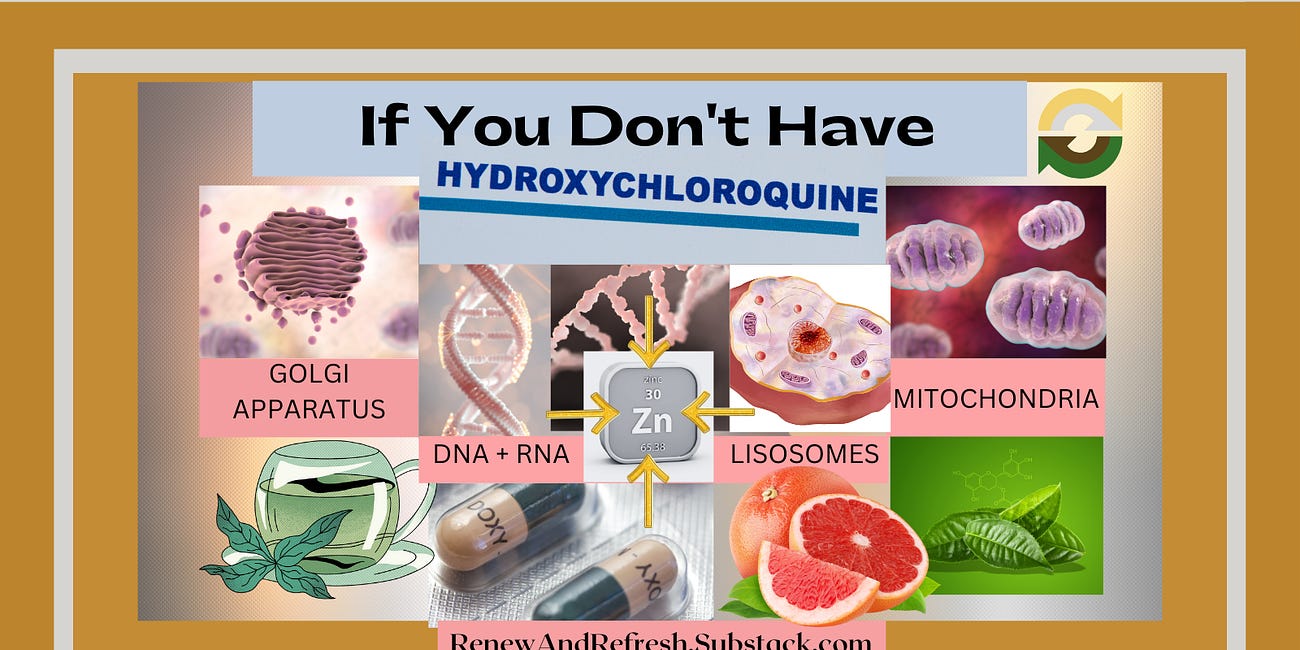 If You Don't Have Hydroxychloroquine Use: Green Tea, Quercetin, Doxycycline, EGCG or Make Your Own Grapefruit Solution - PLUS Take Zinc