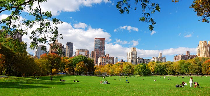 Seeing Central Park: The Official Guide to the World’s Greatest Urban Park, by Sara Cedar Miller