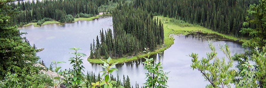 Un encuentro en un lago de Alaska