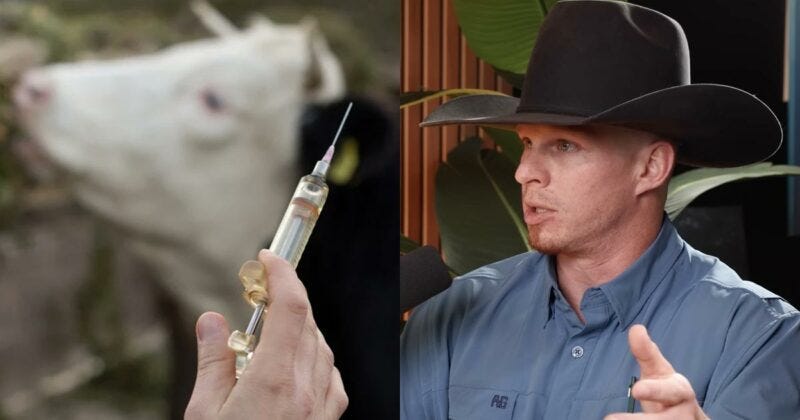 Texas Rancher Blows Whistle: Food Supply Spiked with mRNA Vaccines