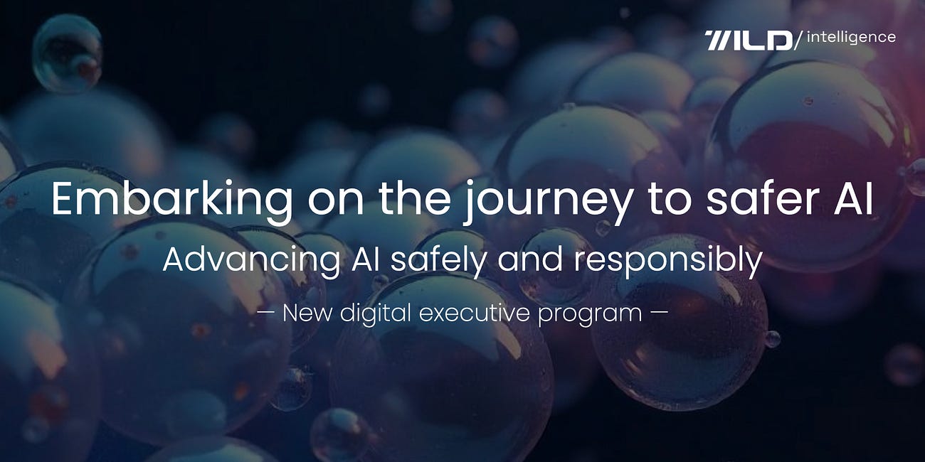 🚀 Embarking on the journey to safer AI