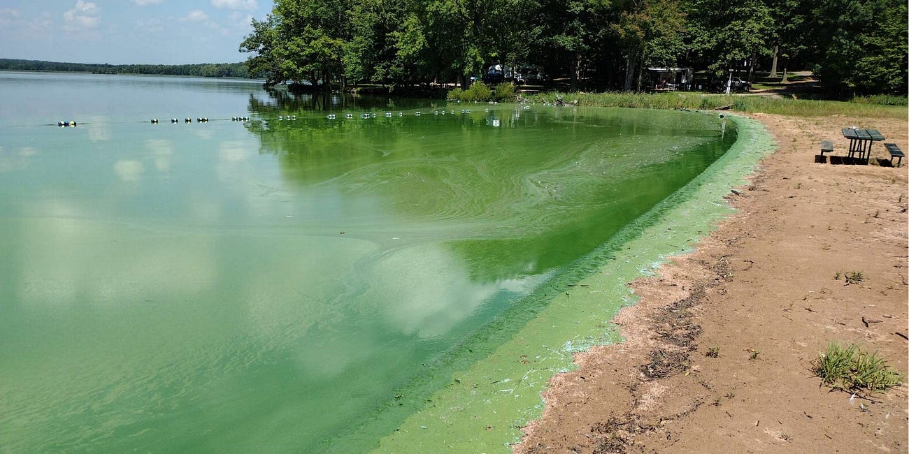The Big Eau Pleine Reservoir has gotten bad 