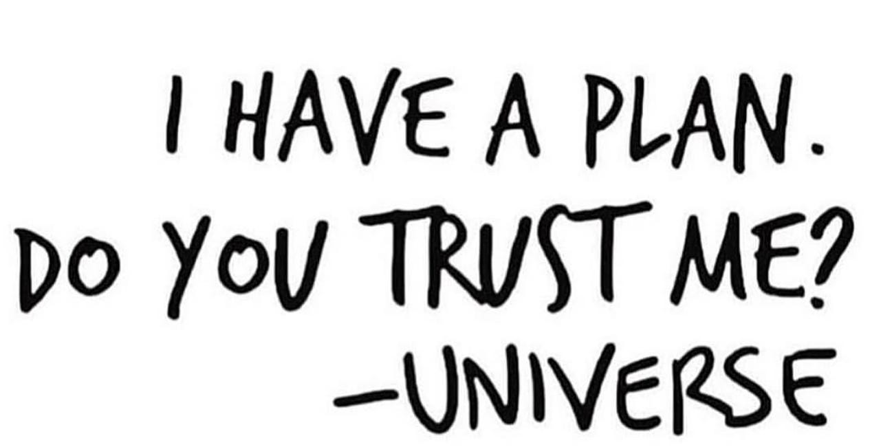"I Have A Plan. Do You Trust Me?" - Universe