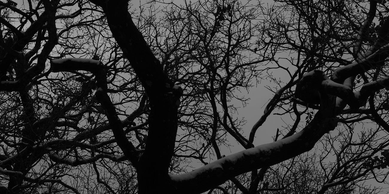 Monochrome Snow