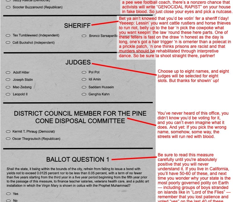 Your Ballot, Explained