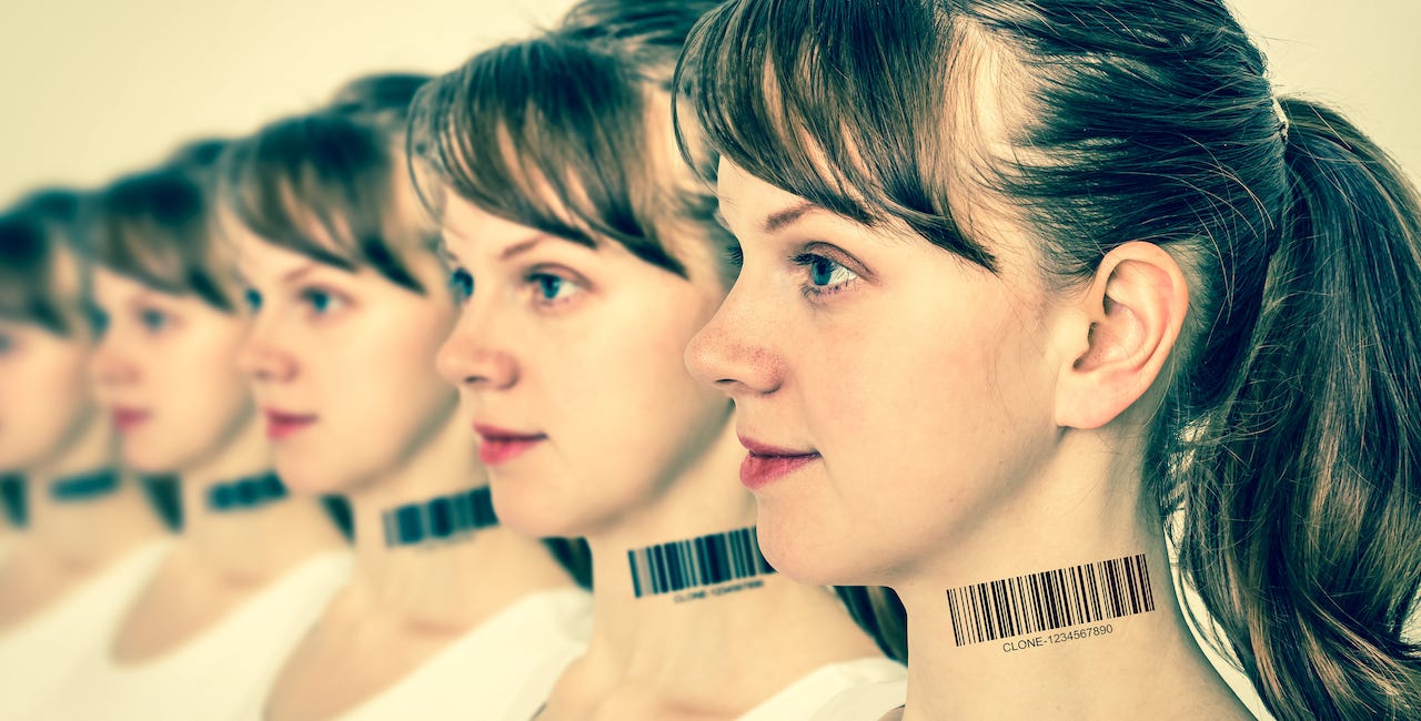 Identity Politics vs. the Law of Identity