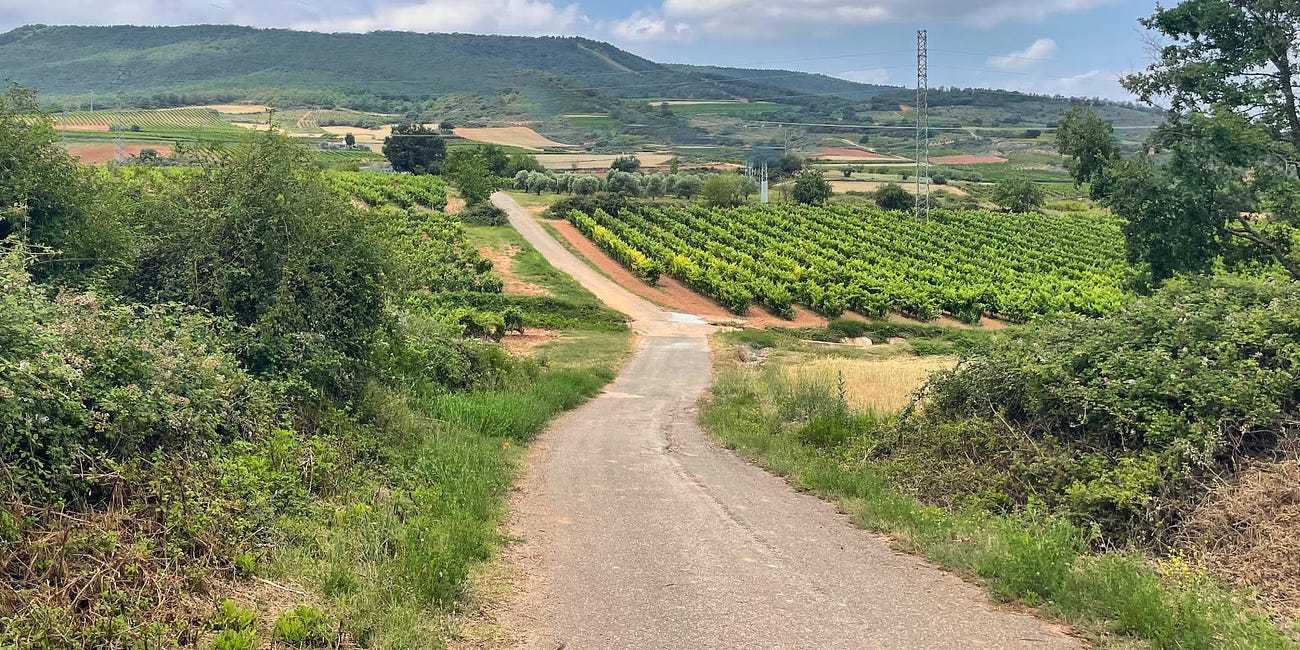 Walking the Camino Francés: Exploring Rioja's Vineyards and Climate Change Impacts