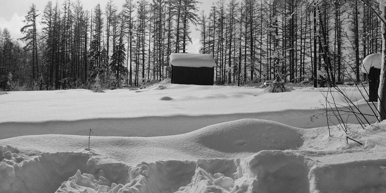 PHOTOS: Japan In Snow (Dec 2023)