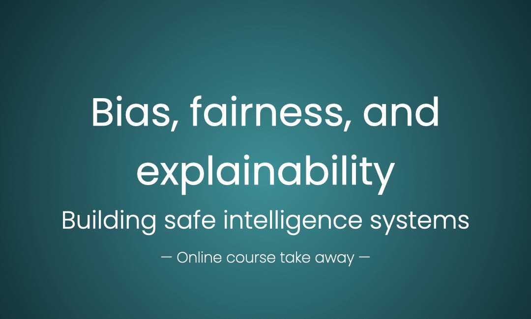 Bias, fairness, and explainability | Episode 10, The Wild Pod
