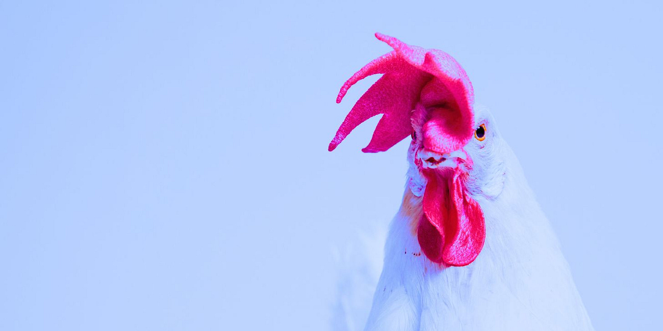 New 75,300-Square-Foot Livestock & Poultry mRNA Vaccine Plant to Produce 8 Billion Doses Annually Amid Bird Flu Pandemic Warnings