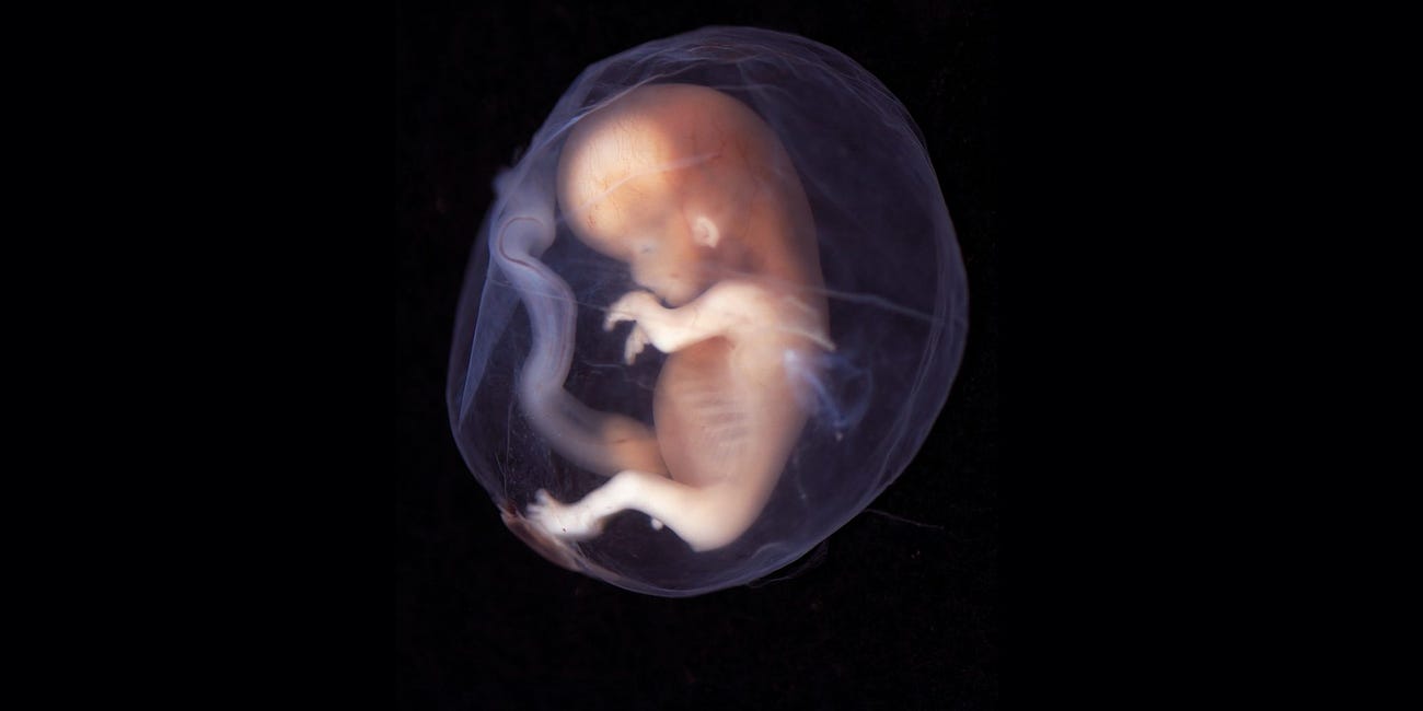 Vstupuje duše do embrya po 40. dni od početí?