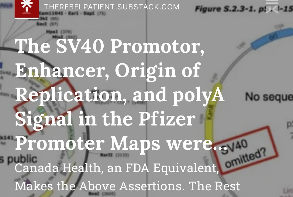 The SV40 Promotor, Enhancer, Origin of Replication, and polyA Signal in the Pfizer Promoter Maps were Deliberately Deleted from Submission to Regulators