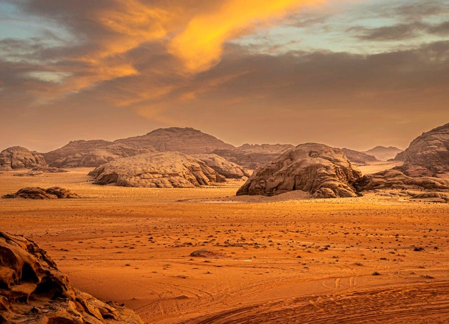 Samurai in the Desert Never Stops Moving