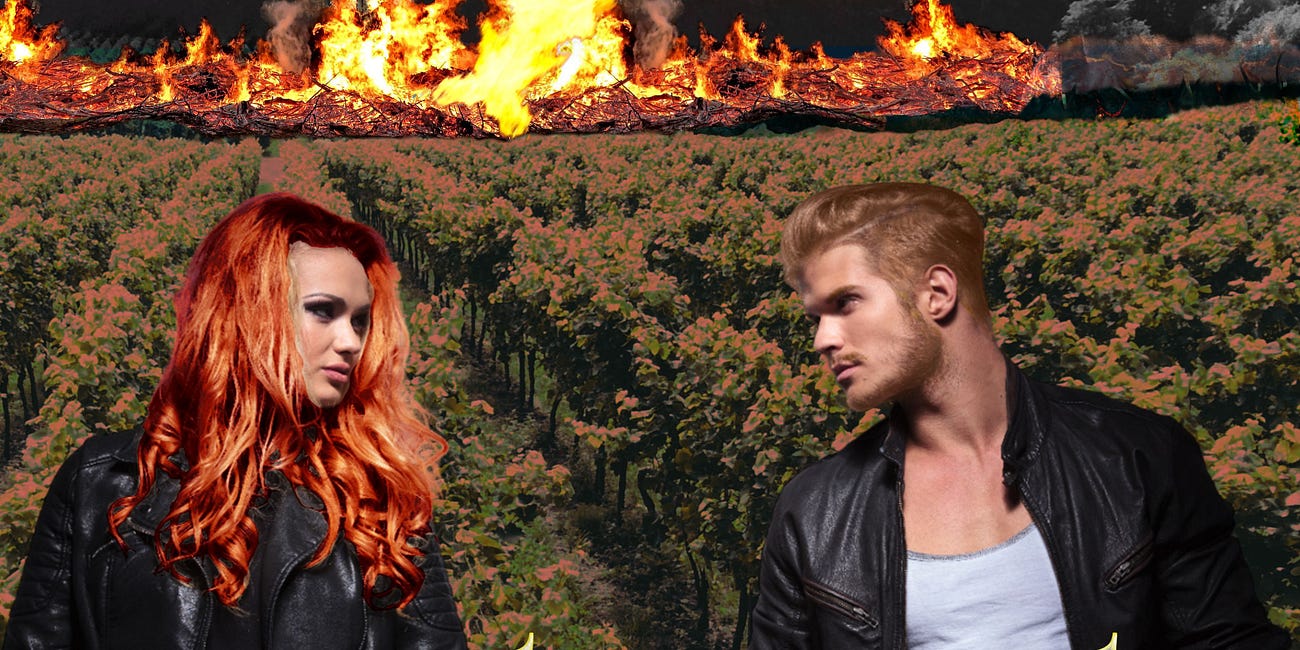 Cover Reveal: Blood Country