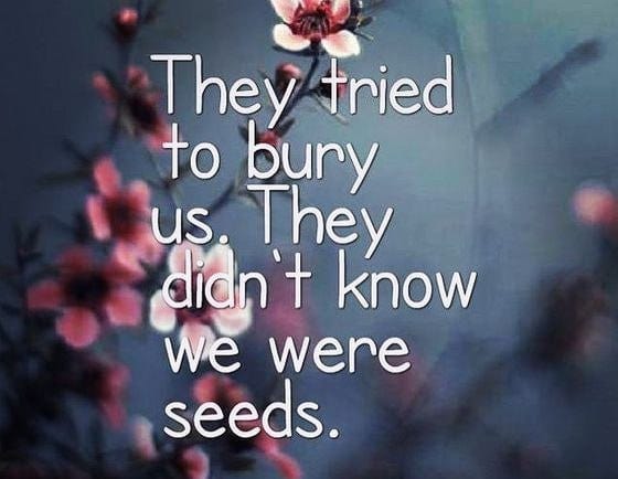 They Tried To Bury Us. They Didn't Know We Were Seeds. 