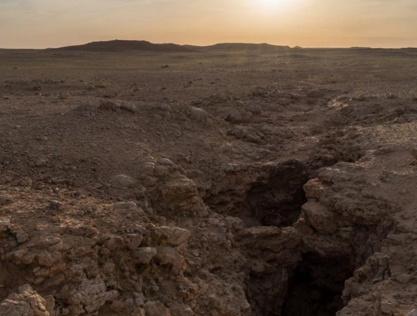 Tyneside team unearths evidence of a green Arabian desert