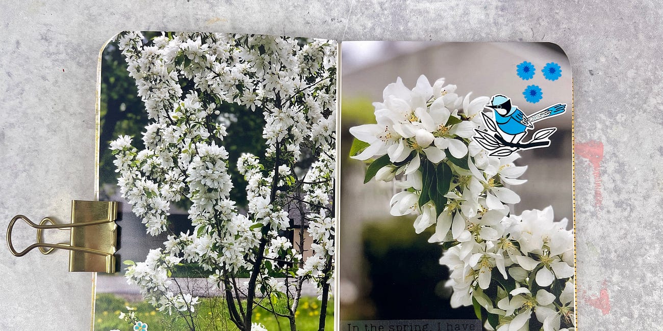Spring Dreams -- Full Page Photo Pages