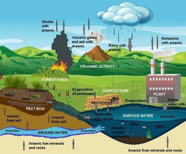 The Health Impact of Arsenic