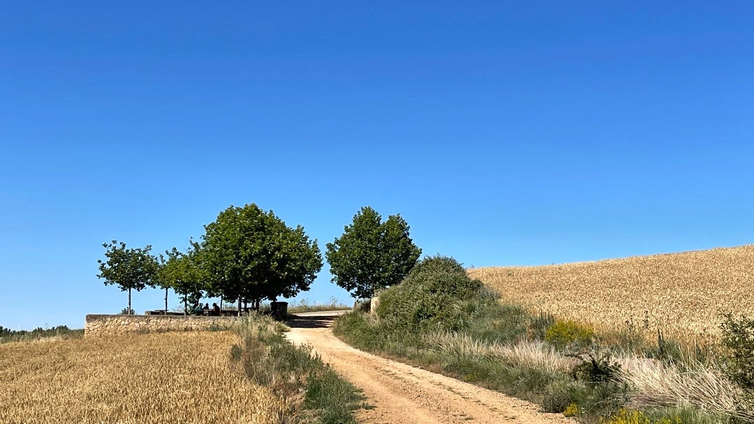 The Changing Camino de Santiago: Exploring Climate Challenges and Community Adaptation