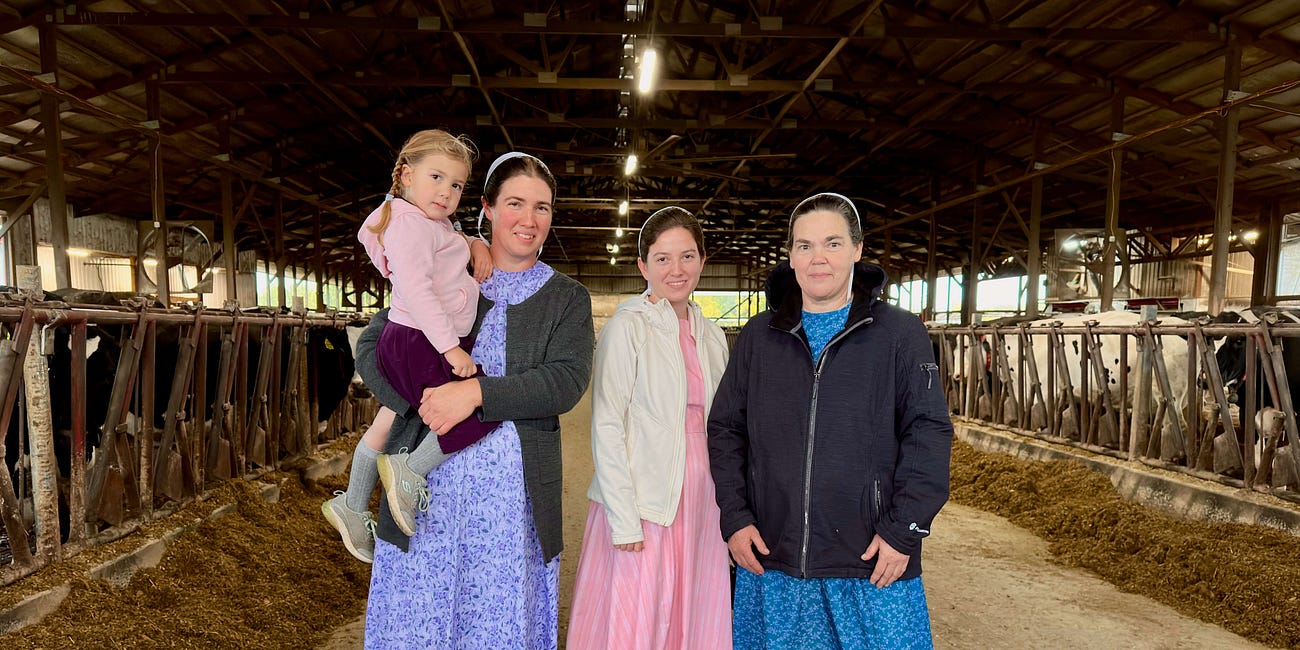 Amische und Mennoniten in Indiana (USA): Bauern zwischen Bibel und Babylon