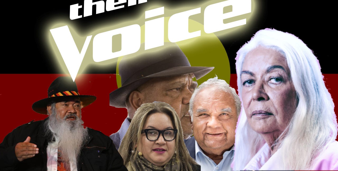 This is about power, not representation: The Voice is a Trojan Horse filled with academic activists