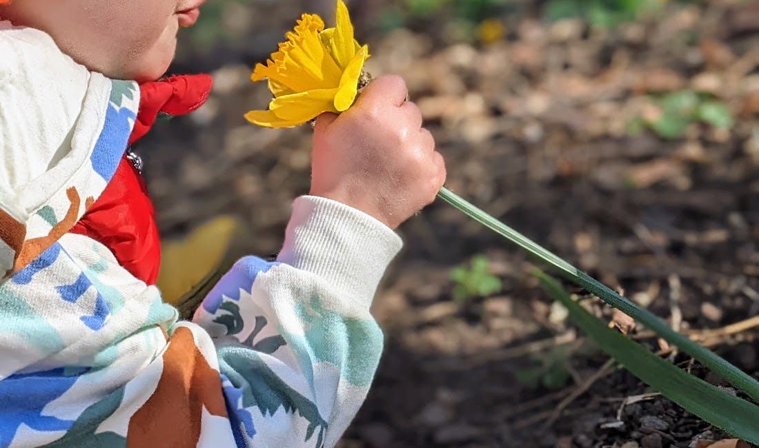 Spring Bucket List: 50 Simple Things To Do With Young Children