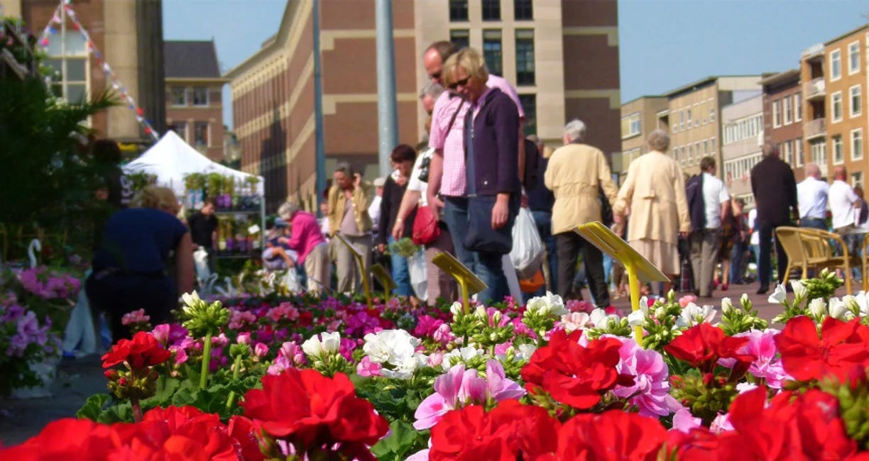 Bloemenjaarmarkt, the Largest Plant and Flower Market in the Northern Netherlands