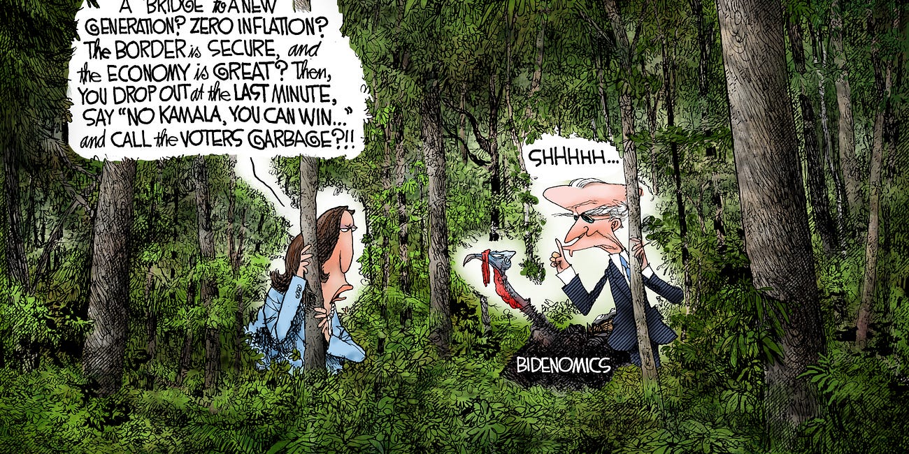 Michael Ramirez: Foul Fowl 12-1-24