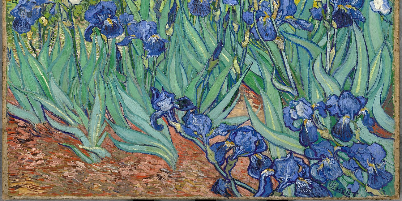 A Journey Among Irises: In the Footsteps of Vincent van Gogh