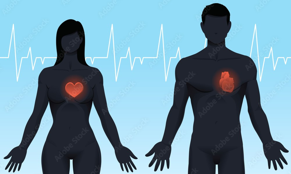 The Increased Cardiac Risks of 'Trans' Hormones Differ According to the Sex Binary