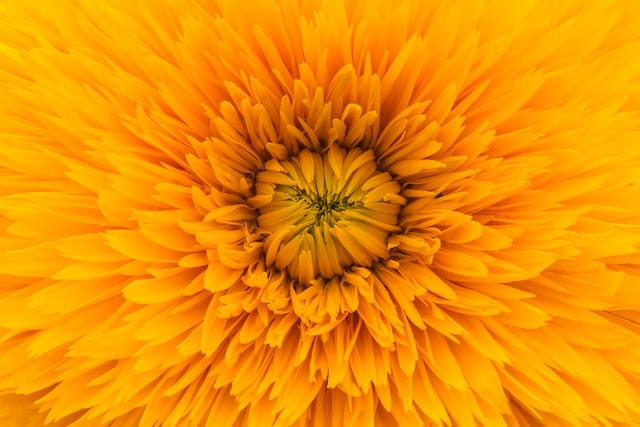 Happiness is yellow: why neurodivergence can drive creativity - Guest Post by Allegra Chapman