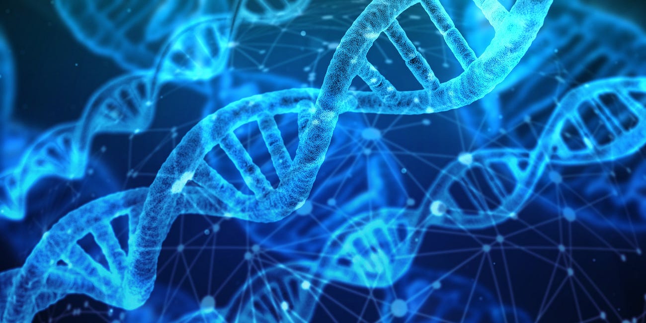 The First Law of Behavior Genetics