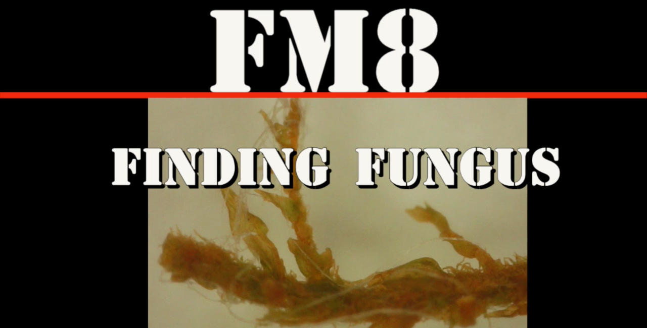 FM8 - FINDING FUNGUS