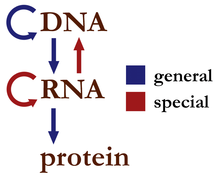 A recent scientific discovery demolishes the Central Dogma of Biology