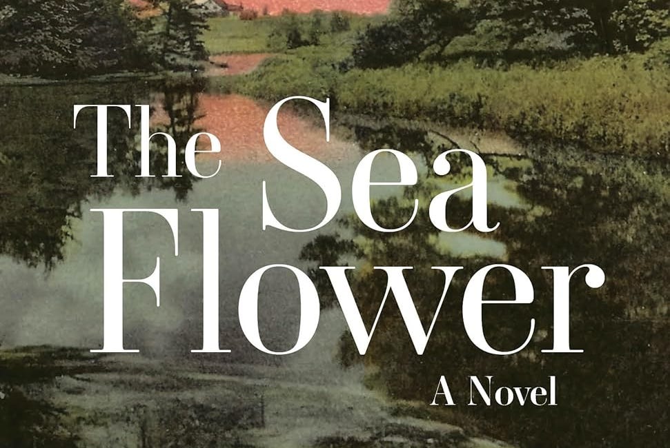The Sea Flower by Ruth Moore