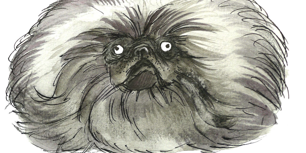 Sketchbook: Live Drawing the 2025 Westminster Dog Show in New York