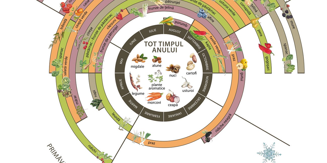 CADOU: Meal planning pentru toată lumea