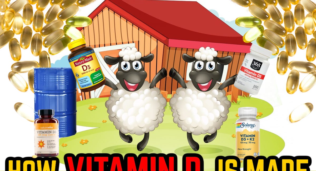 How Vitamin D is Made: From Slaughterhouse to Bottle, a famous supplement's journey