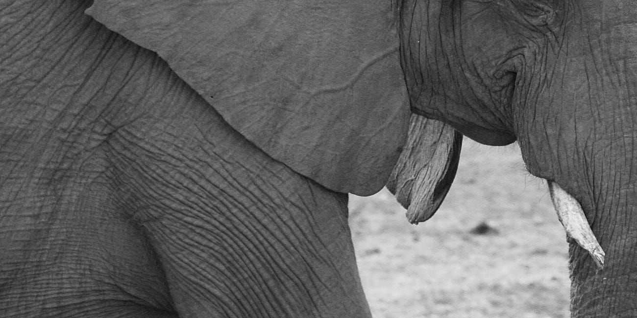 Chobe National Park