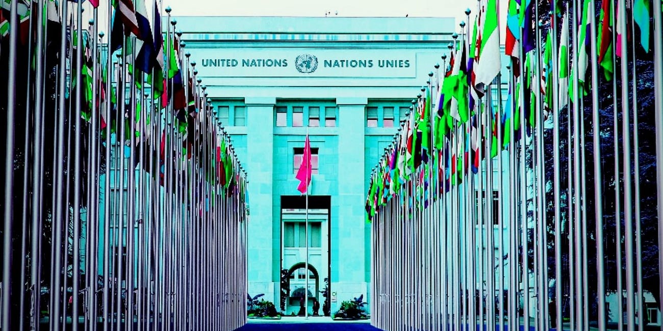 FCR 10: United Nations calls out Family Courts around the world