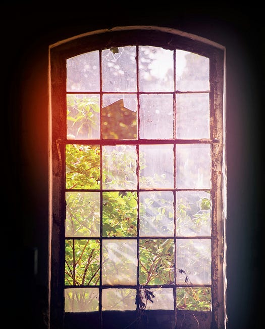 The Broken Window That Freed the Sunlight