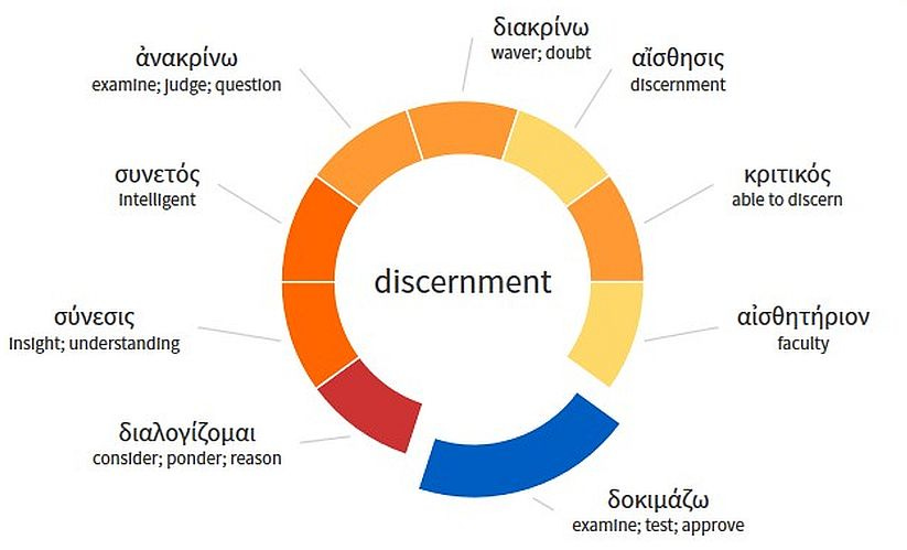 Discernment :: Letting the Heart Guide the Eyes