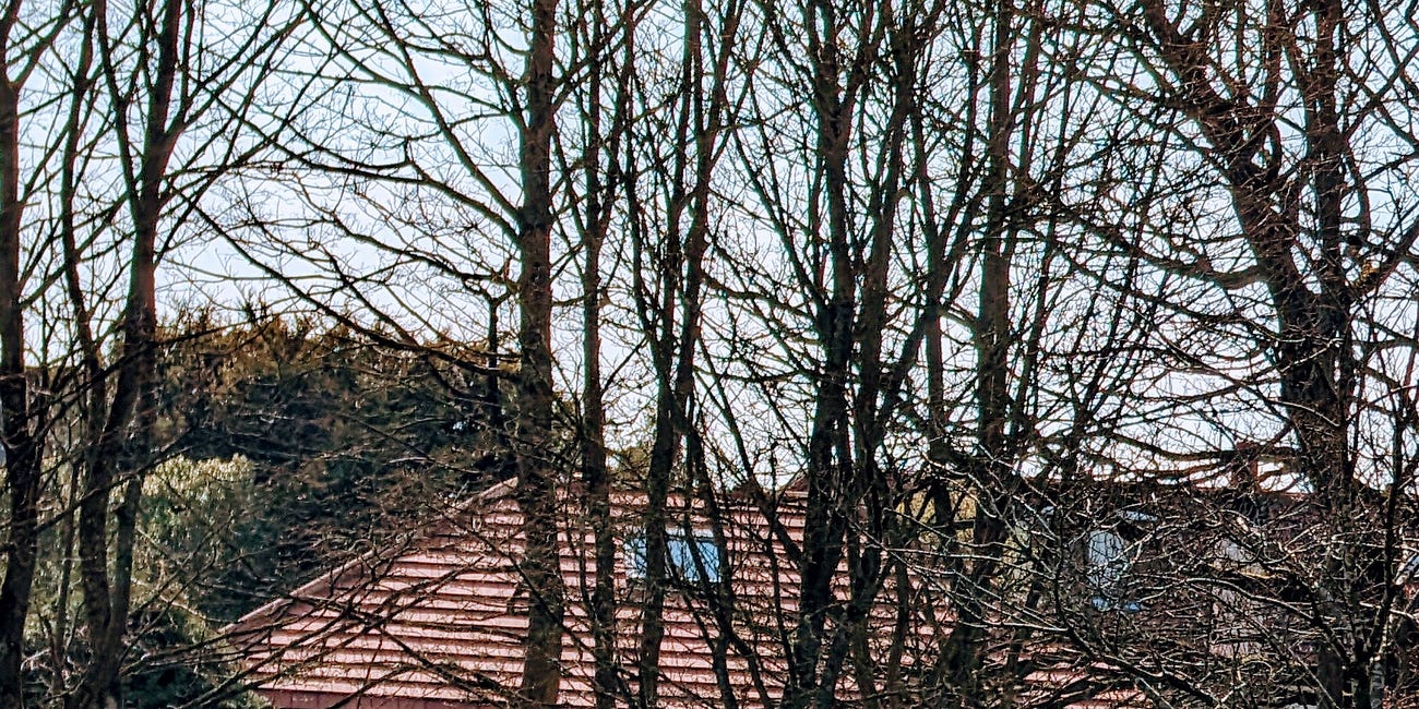 Postcards from a Midlife Elsewhere