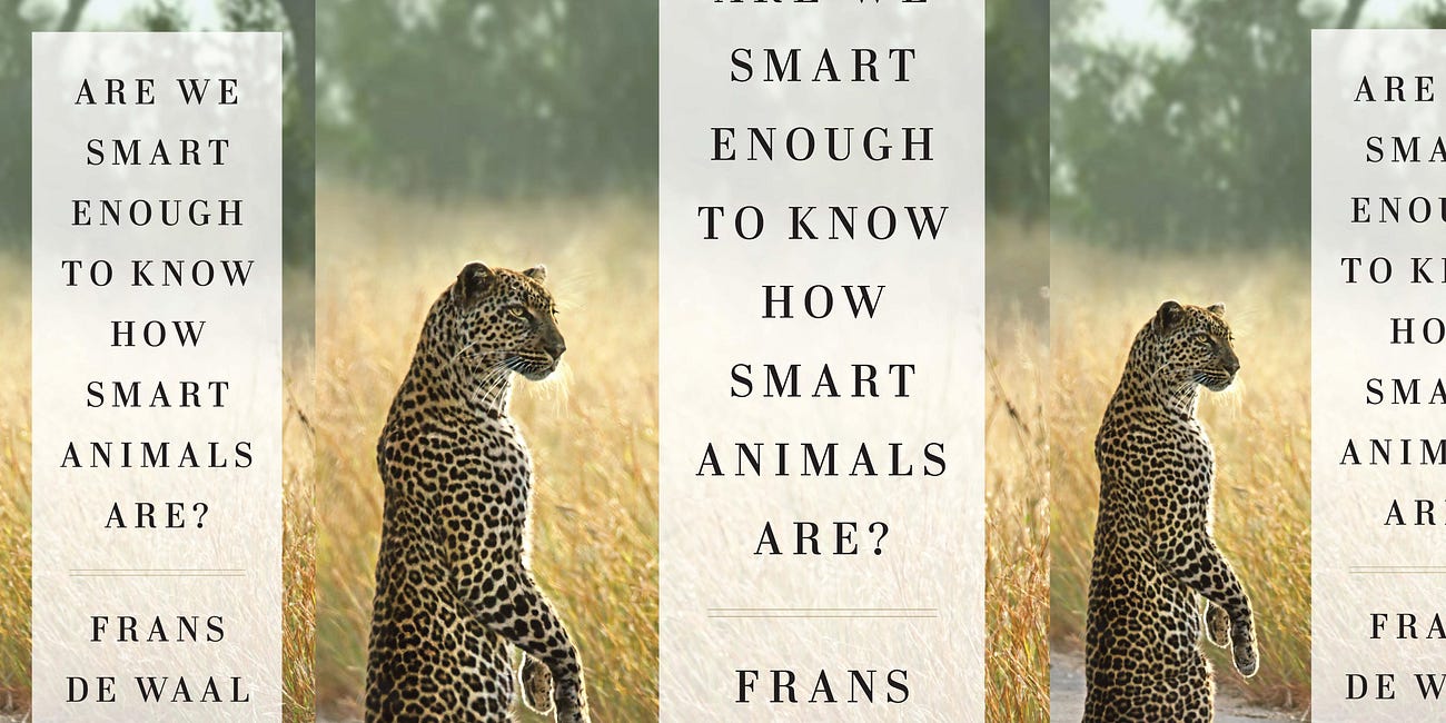 Are We Smart Enough to Know How Smart Animals Are? by Frans de Waal