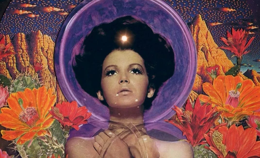 Planet Nude in review: 2024