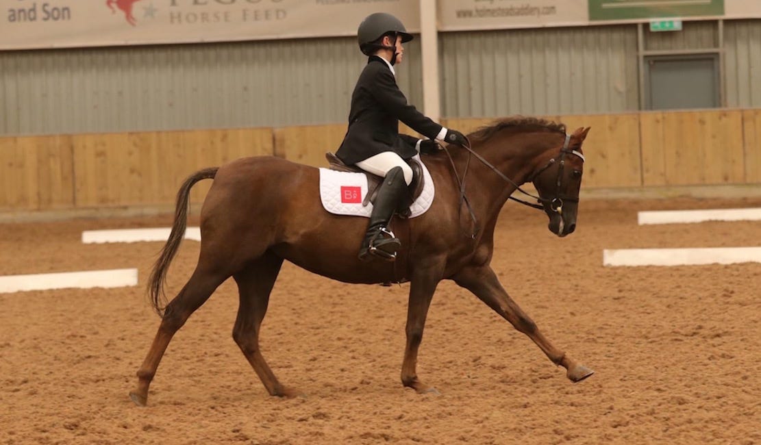 Exciting climax to Dressage and Jumping Series at Gransha