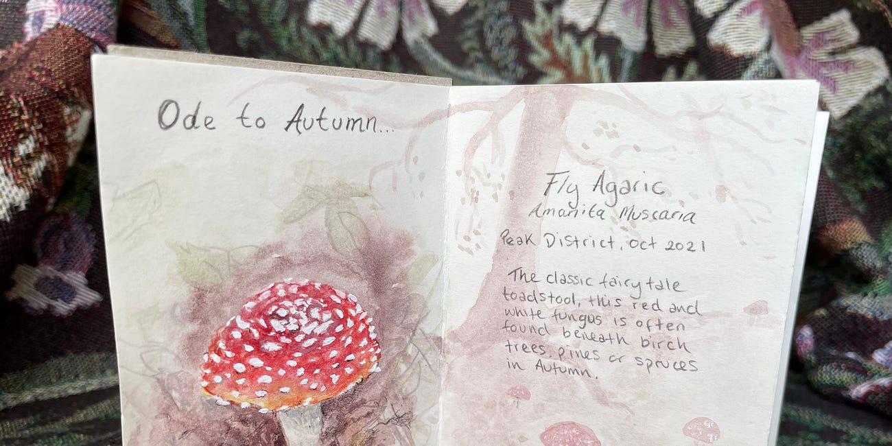 Autumn-inspired drawing session 🍂